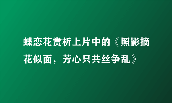 蝶恋花赏析上片中的《照影摘花似面，芳心只共丝争乱》