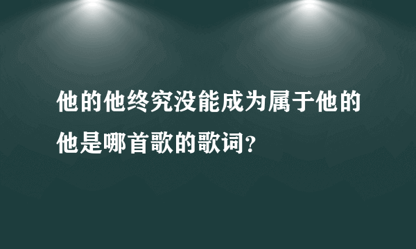 他的他终究没能成为属于他的他是哪首歌的歌词？