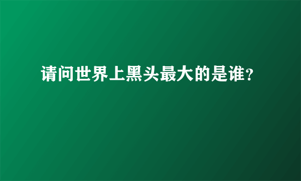 请问世界上黑头最大的是谁？