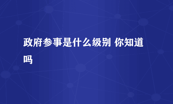 政府参事是什么级别 你知道吗