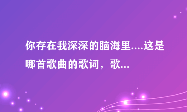 你存在我深深的脑海里....这是哪首歌曲的歌词，歌名是什么？