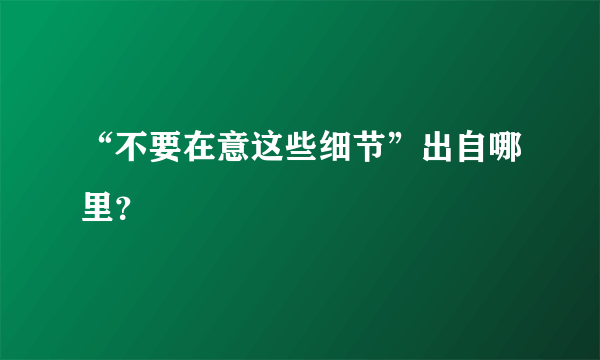 “不要在意这些细节”出自哪里？