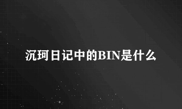 沉珂日记中的BIN是什么