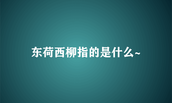 东荷西柳指的是什么~