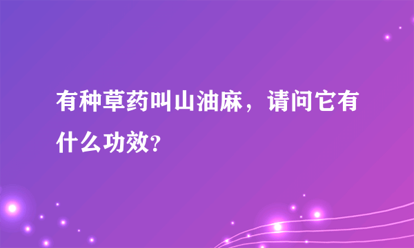 有种草药叫山油麻，请问它有什么功效？