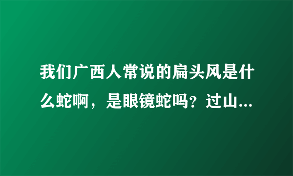 我们广西人常说的扁头风是什么蛇啊，是眼镜蛇吗？过山风是不是就是眼镜王蛇