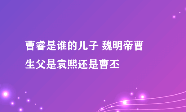 曹睿是谁的儿子 魏明帝曹叡生父是袁熙还是曹丕