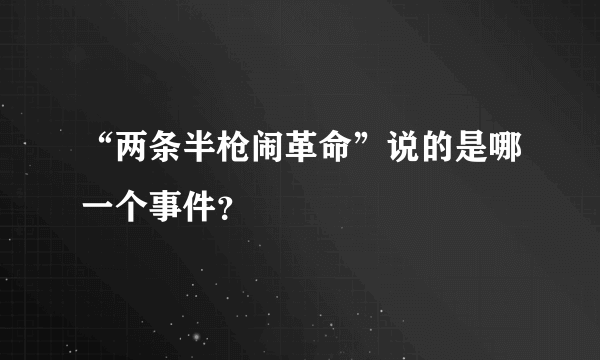 “两条半枪闹革命”说的是哪一个事件？