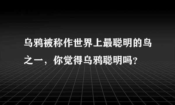 乌鸦被称作世界上最聪明的鸟之一，你觉得乌鸦聪明吗？