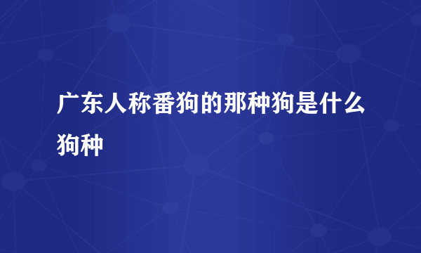 广东人称番狗的那种狗是什么狗种