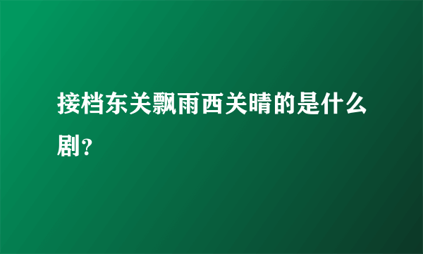 接档东关飘雨西关晴的是什么剧？