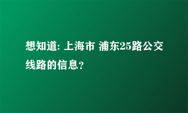 想知道: 上海市 浦东25路公交线路的信息？