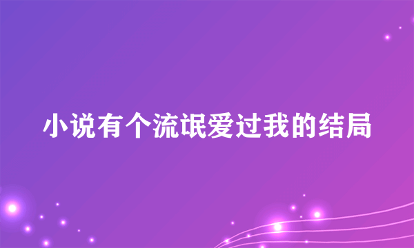 小说有个流氓爱过我的结局