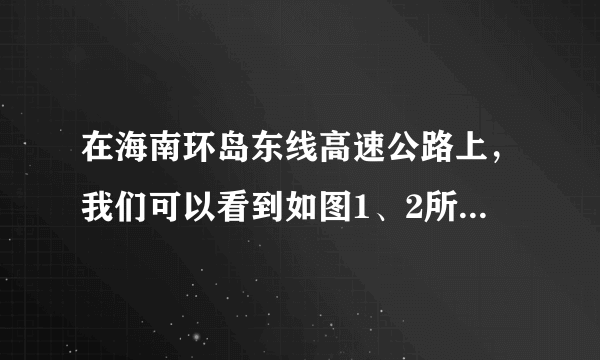 在海南环岛东线高速公路上，我们可以看到如图1、2所示的两块指示牌，指示牌上面的数字的含义是（　　）A.图1指的是位移B.图1指的是路程C.图2指的是平均速度D.图2指的是平均速率