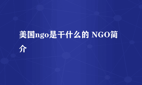 美国ngo是干什么的 NGO简介