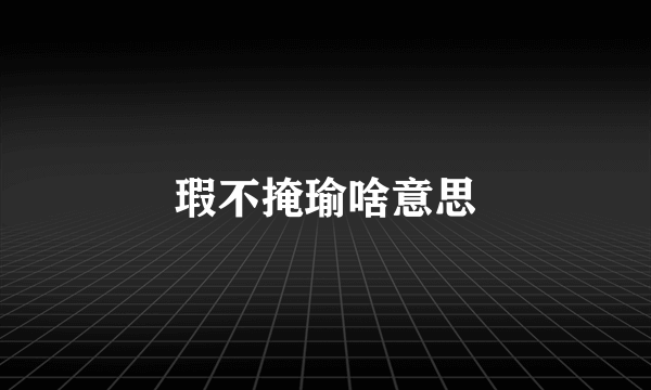 瑕不掩瑜啥意思