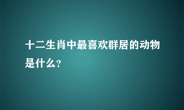 十二生肖中最喜欢群居的动物是什么？