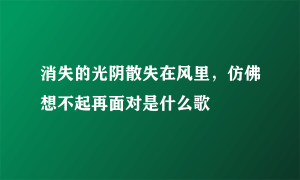 消失的光阴散失在风里，仿佛想不起再面对是什么歌