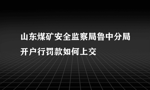 山东煤矿安全监察局鲁中分局开户行罚款如何上交