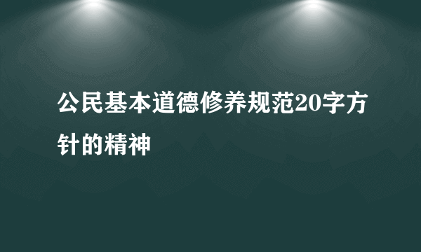 公民基本道德修养规范20字方针的精神