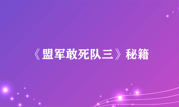 《盟军敢死队三》秘籍