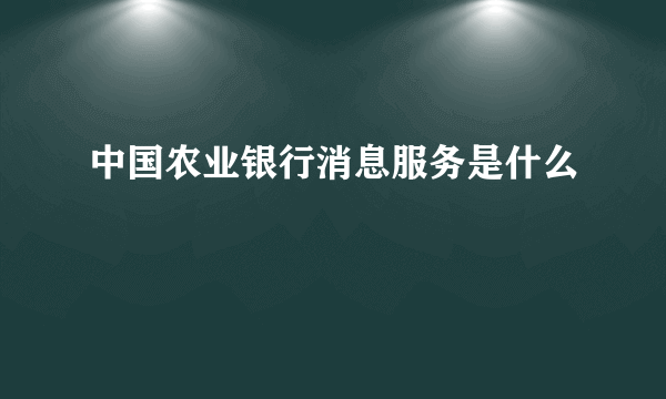 中国农业银行消息服务是什么