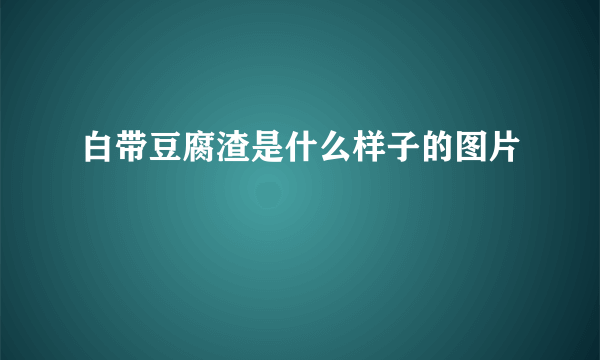 白带豆腐渣是什么样子的图片