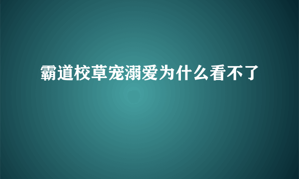 霸道校草宠溺爱为什么看不了