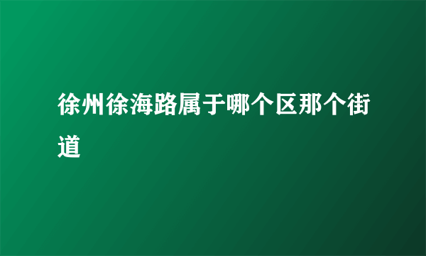 徐州徐海路属于哪个区那个街道