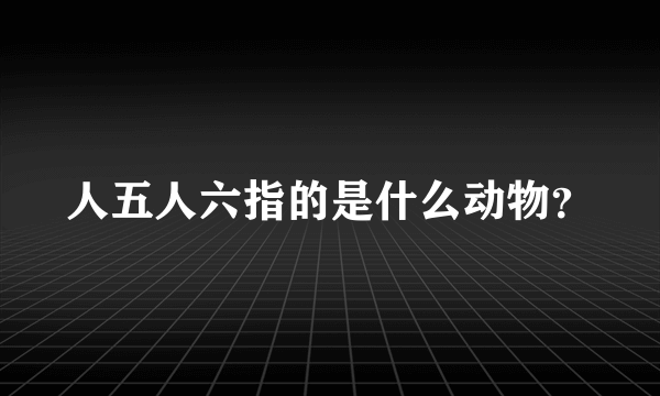 人五人六指的是什么动物？