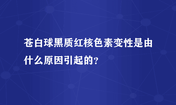 苍白球黑质红核色素变性是由什么原因引起的？