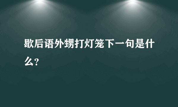 歇后语外甥打灯笼下一句是什么？