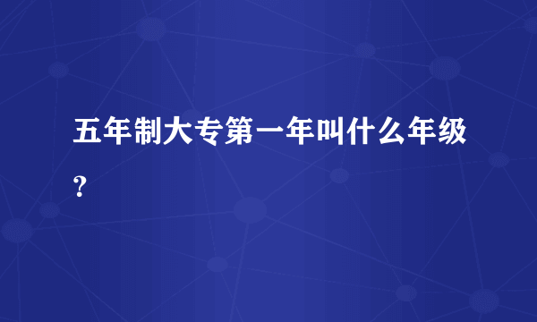 五年制大专第一年叫什么年级？