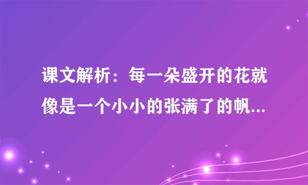 课文解析：每一朵盛开的花就像是一个小小的张满了的帆，帆下带着尖底的舱，船舱鼓鼓的。解析