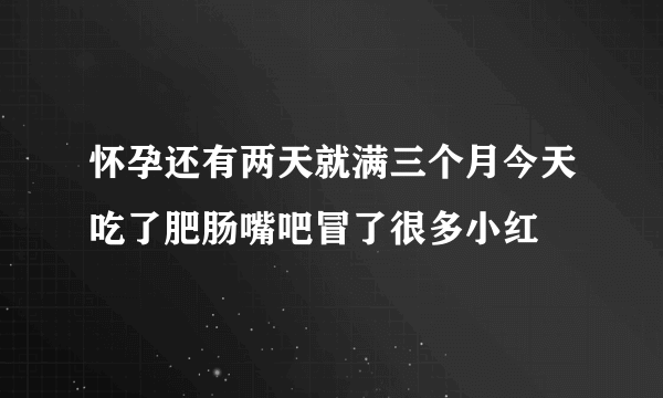 怀孕还有两天就满三个月今天吃了肥肠嘴吧冒了很多小红