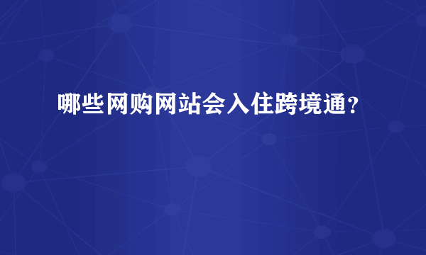 哪些网购网站会入住跨境通？