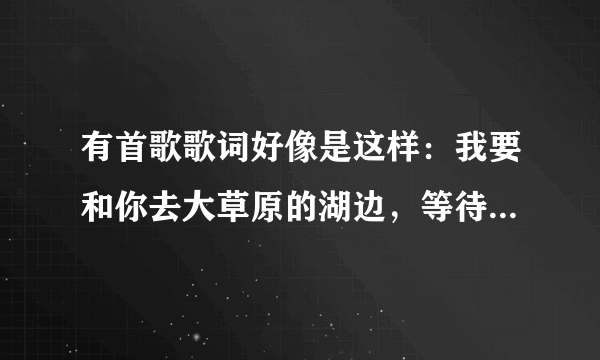 有首歌歌词好像是这样：我要和你去大草原的湖边，等待候鸟飞回来。这是什么歌阿？