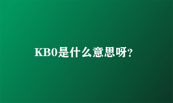 KB0是什么意思呀？