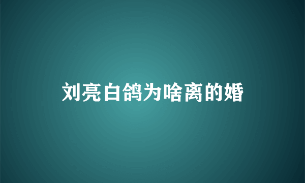 刘亮白鸽为啥离的婚