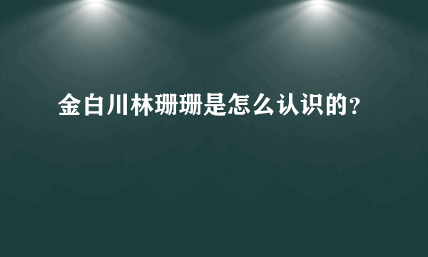 金白川林珊珊是怎么认识的？