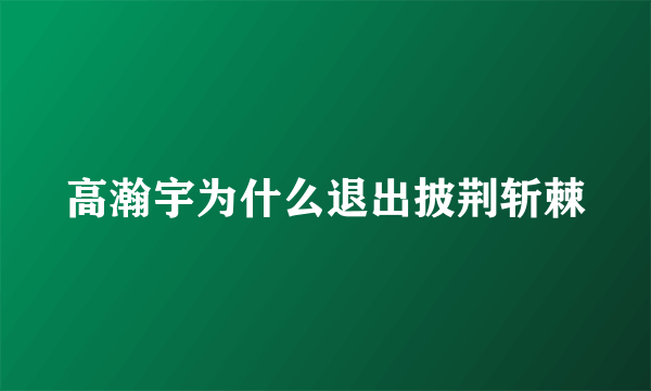 高瀚宇为什么退出披荆斩棘