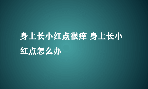 身上长小红点很痒 身上长小红点怎么办