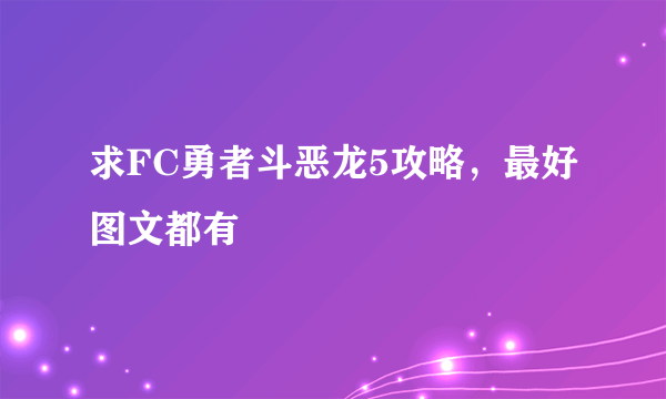 求FC勇者斗恶龙5攻略，最好图文都有