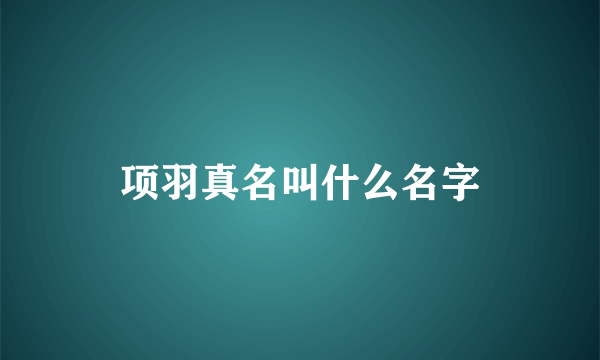 项羽真名叫什么名字