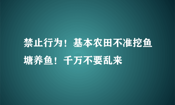 禁止行为！基本农田不准挖鱼塘养鱼！千万不要乱来