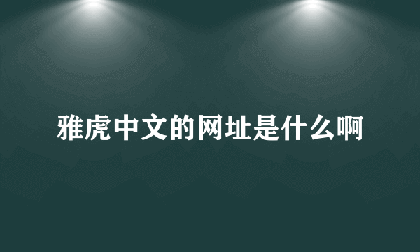 雅虎中文的网址是什么啊