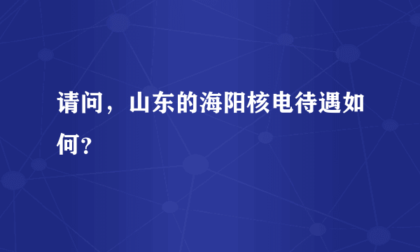 请问，山东的海阳核电待遇如何？