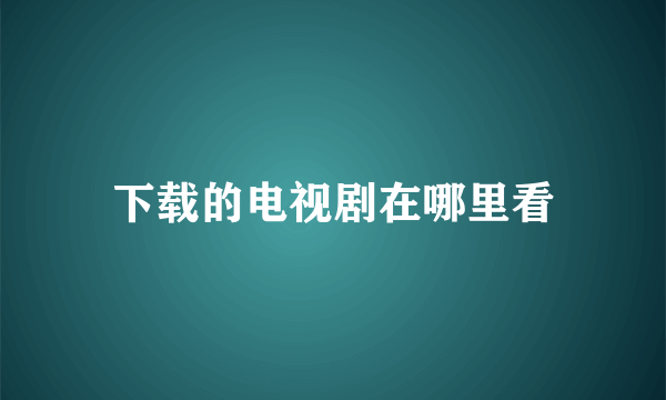 下载的电视剧在哪里看