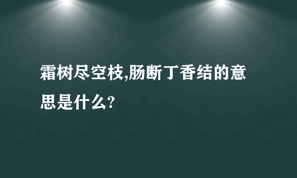 霜树尽空枝,肠断丁香结的意思是什么?