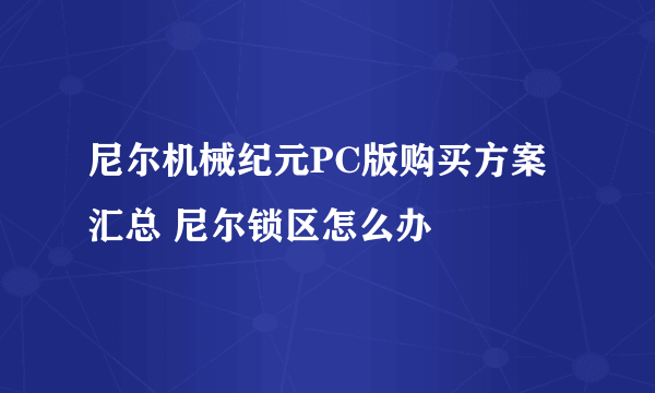 尼尔机械纪元PC版购买方案汇总 尼尔锁区怎么办